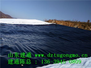 專業高效，品質信賴 探訪江西復合土工布工廠直銷與山東建通建材加工服務